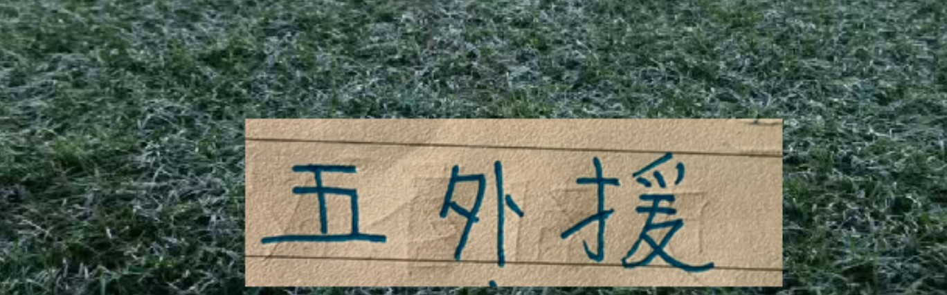 熊猫体育-月底跟大连英博第16轮联赛 申花能凑齐五个外援吗？